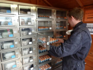 egg vending machine 