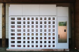 Fruit Vending Machine